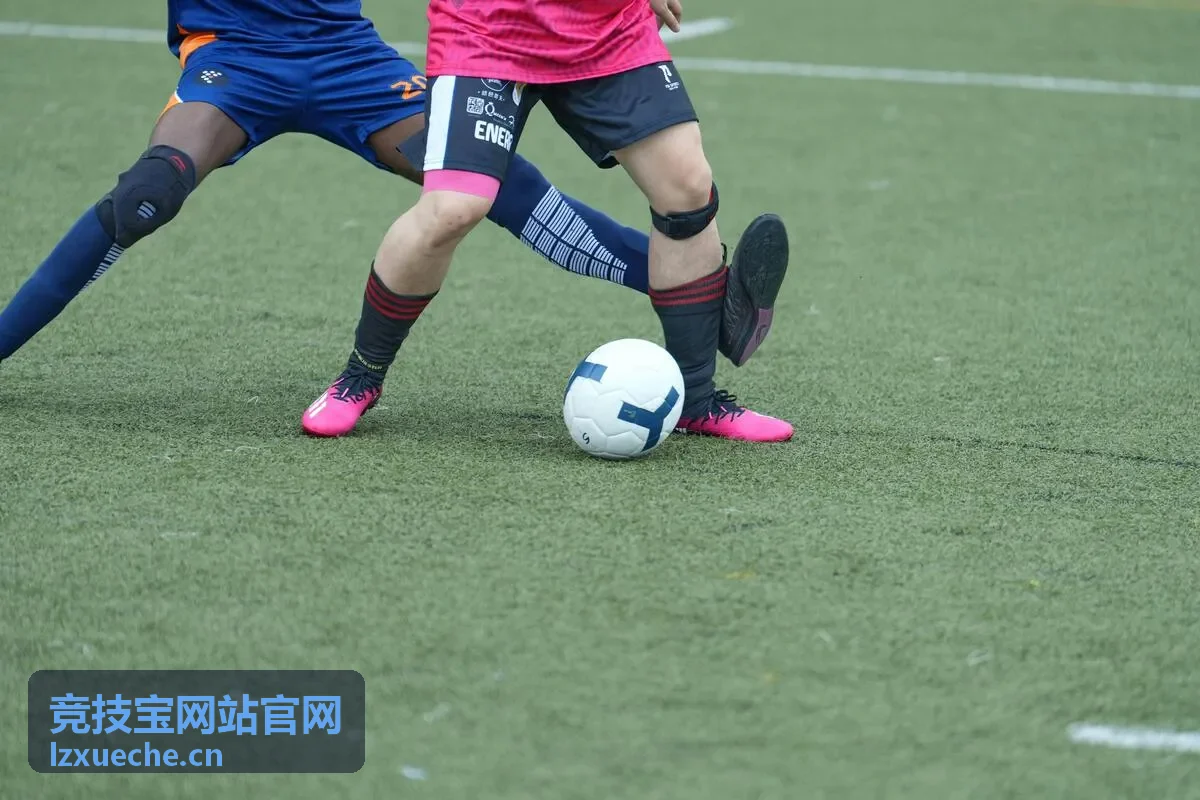 竞技宝平台常见问题处理手册